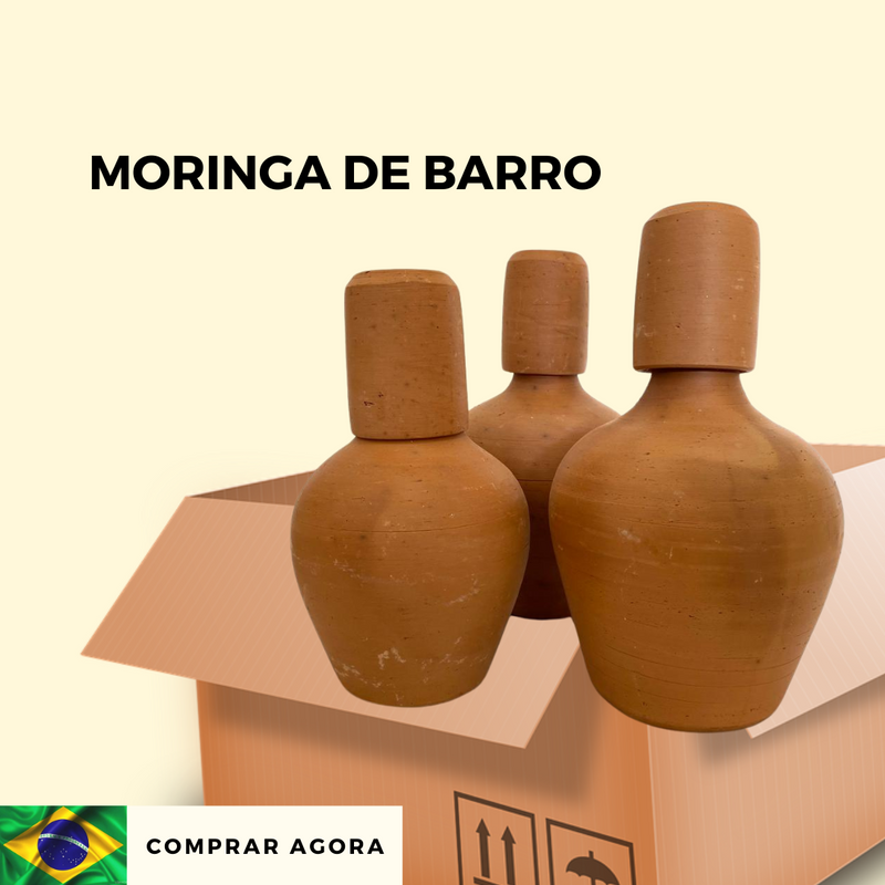 Moringa de Barro com Copo Artesanato Produtos do Sertão Arte e Cultura